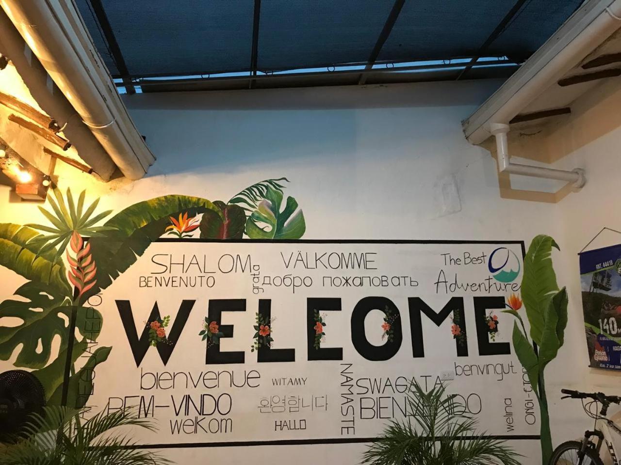 The Best Adventure Hostel Сан Хил Екстериор снимка