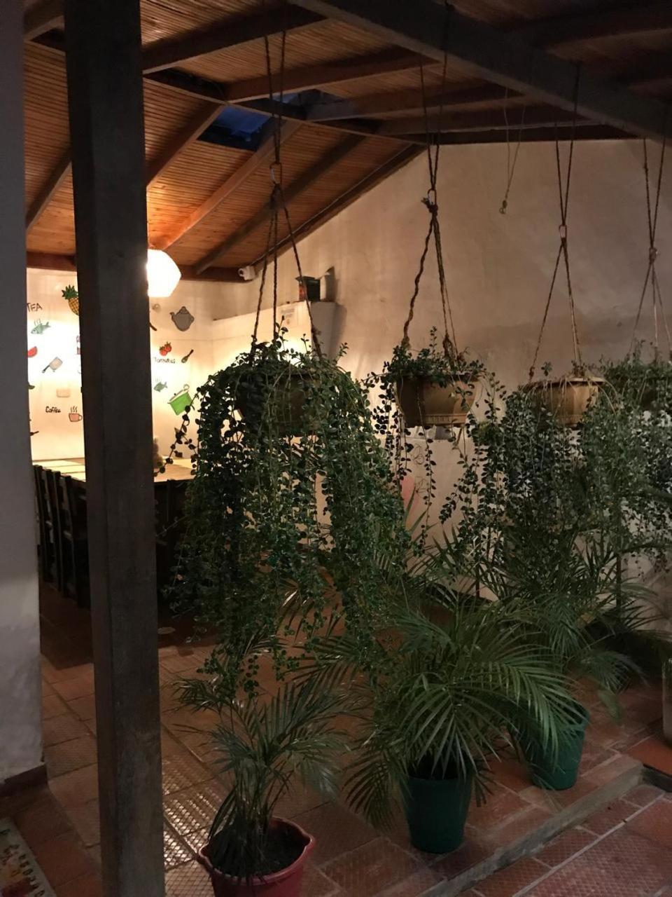 The Best Adventure Hostel Сан Хил Екстериор снимка